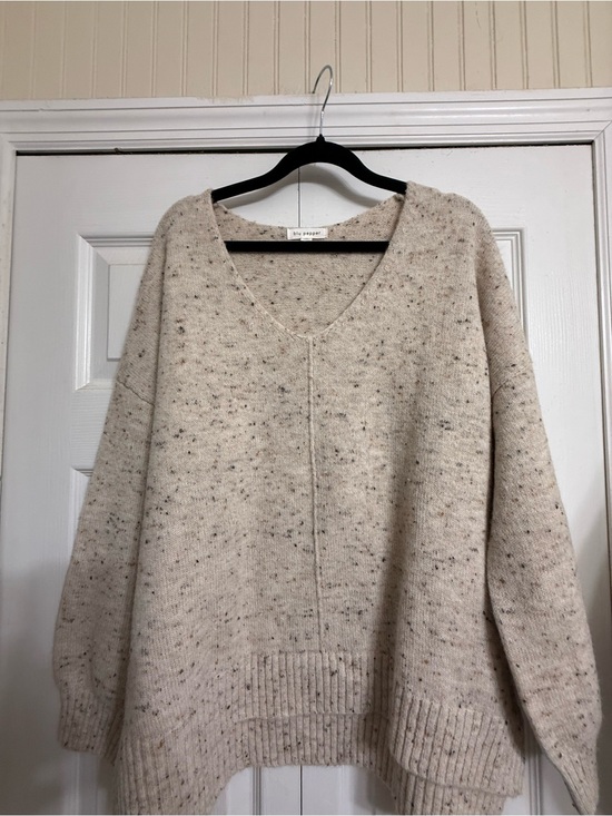 Blu Pepper Sweaters - Blu Pepper Speckled Cream V-Neck Sweater